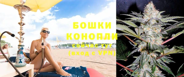 стафф Заводоуковск