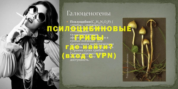 прущие грибы Заволжск