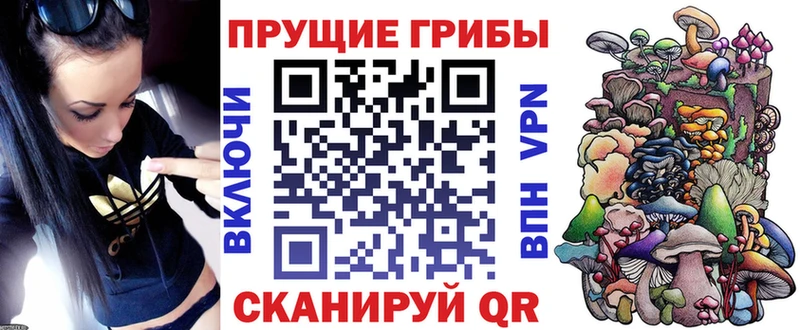 Купить закладки  Озёры  Псилоцибиновые грибы ЛСД 
